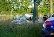 112-nieuws: zoekactie ontsnapte serval • zwaargewond na botsing tegen boom 112-nieuws-zoekactie-ontsnapte-serval-zwaargewond-na-botsing-tegen-boom