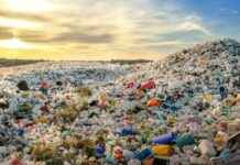 Après les États-Unis, Freepoint Eco-Systems va pyrolyser des plastiques en Belgique – L’Usine Nouvelle aprs-les-tats-unis-freepoint-eco-systems-va-pyrolyser-des-plastiques-en-belgique-lusine-nouvelle