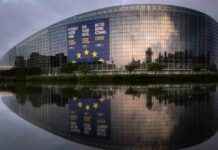 Européennes: «vote sanction», score du RN, risque de disparition des Verts… Parti par parti, les enjeux du dernier scrutin national avant 2027 europennes-vote-sanction-score-du-rn-risque-de-disparition-des-verts-parti-par-parti-les-enjeux-du-dernier-scrutin-national-avant-2027