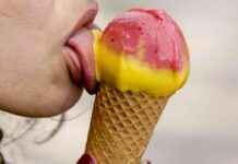 Which Ice Cream Has the Fewest Calories: Soft Serve or Sorbet? news-04072024-134723