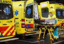 One Life-Saving Tip Shared by Helpers: A Must-Know for Everyone news-12072024-081236