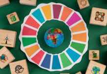 De Rol van Online Games bij het Bevorderen van Duurzame Ontwikkelingsdoelen