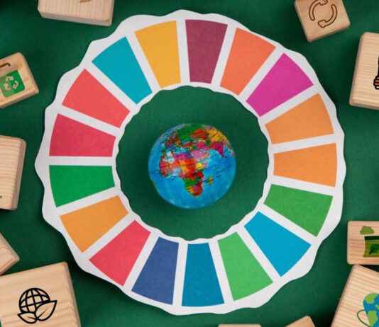 De Rol van Online Games bij het Bevorderen van Duurzame Ontwikkelingsdoelen