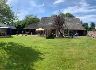 Hoe je je huis kunt splitsen als oplossing voor de woningnood news-12082024-164921