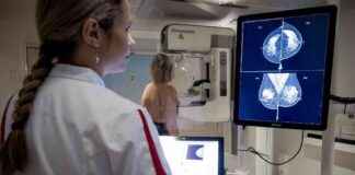 news-13082024-165756