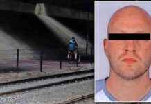 Verdachte van belagen vrouwen in Utrecht opgepakt in Maastricht – Update 2021 news-17082024-025823