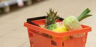 news-17082024-150212