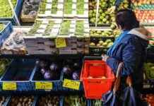 Hogere prijzen door lagere voedselproductie door nat voorjaar news-23082024-111408