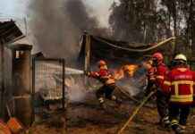 Portugese politie arresteert 14 verdachten van bosbrandstichting news-19092024-210108