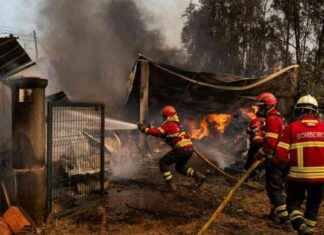 Portugese politie arresteert 14 verdachten van bosbrandstichting news-19092024-210108