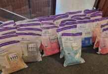 Grote drugsvangst: 100 kilo harddrugs in woningen, man en vrouw gearresteerd news-19092024-210631