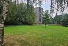 Agressieve bijthonden Veldhoven: risico op euthanasie verhoogd news-19092024-210658