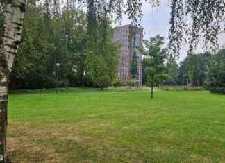 Agressieve bijthonden Veldhoven: risico op euthanasie verhoogd news-19092024-210658