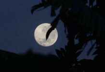 Nieuwe maan ontdekt in de herfst: een piepkleine metgezel voor onze planeet news-19092024-211103