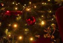 Klaar voor de kerst? Ontdek wie er nog meer enthousiast is! news-19092024-213633