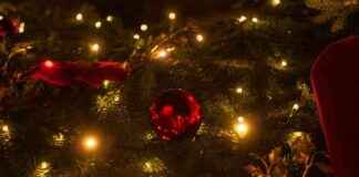 news-19092024-213633