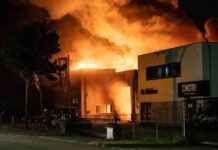 Hoe de brandweer erger wist te voorkomen bij grote brand in loods news-19092024-214056