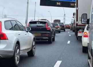 Meerdere voertuigen betrokken bij ongeluk op A58, snelweg weer open news-19092024-221222