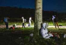 Sporthal Stadskanaal open voor asielzoekers Ter Apel: ‘Zagen het met lede ogen aan’ – Nieuws en updates in Stadskanaal news-19092024-222653