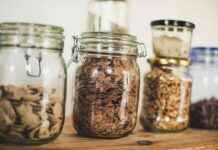 Hoe zich te ontdoen van meelmotten in havermout news-19092024-224342