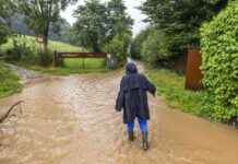 Wat te doen bij een overstroming: tips voor regenbuien in Nederland news-19092024-233013
