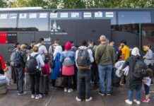 Gemeenten handhaven oud asielbeleid ondanks belofte strengste beleid ooit: problemen verergeren news-21092024-114021