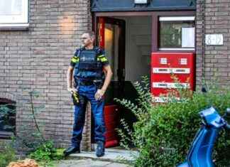 Mogelijk werd gedode vrouw in Rijswijk opgewacht – Bewoners reageren news-21092024-154825