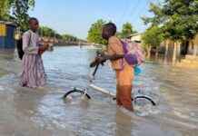 Overstromingen in Tsjaad: 500 doden door rampzalige gevolgen news-22092024-051050