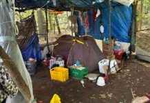 Arbeidsmigranten zonder huisvesting in bossen nabij Venlo. news-22092024-131544