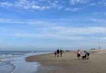 Van zomer naar herfst: Laatste zomerdag en start van het herfstseizoen news-22092024-212408