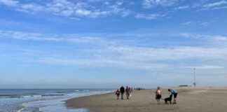 news-22092024-212408