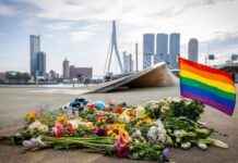 Duitser (32) doodgestoken op Erasmusbrug: Wat we weten news-23092024-013412