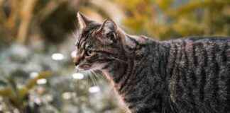 news-23092024-013444