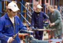 Werkplezier in Nederlandse sectoren: welke blinkt uit? news-24092024-201602