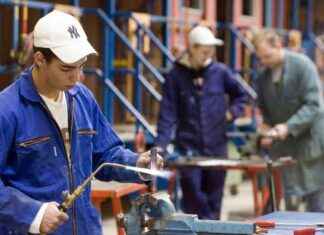 Werkplezier in Nederlandse sectoren: welke blinkt uit? news-24092024-201602