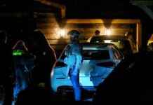 Illegale gokkers in schuur opgeschrikt door politie-inval – Nieuws en Updates news-25092024-125857