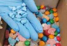 ‘Brabantse drugslab gerund door ‘Bassie en Adriaan’ en ‘De Baron’ – Nieuws’ news-26092024-224924