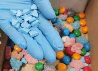 ‘Brabantse drugslab gerund door ‘Bassie en Adriaan’ en ‘De Baron’ – Nieuws’ news-26092024-224924