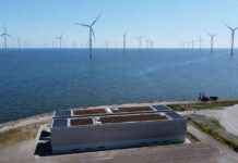 Duurzame energie: Zon en wind als belangrijkste elektriciteitsbron news-27092024-083514