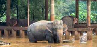 news-04102024-213034