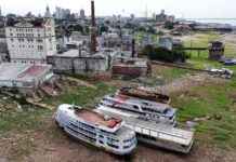 Laagste waterstand ooit in zijrivier van de Amazone gemeten news-05102024-153541