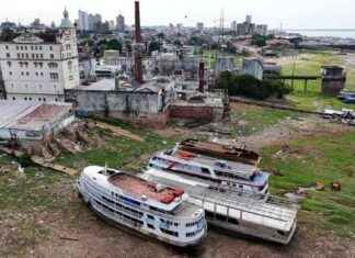 Laagste waterstand ooit in zijrivier van de Amazone gemeten news-05102024-153541