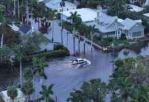 Orkaan Milton veroorzaakt ravage in Florida: alligators zwemmen door straten news-11102024-044716