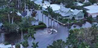 news-11102024-044716