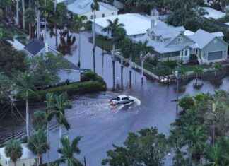 Orkaan Milton veroorzaakt ravage in Florida: alligators zwemmen door straten news-11102024-044716