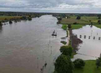 Overstromingen in de Maas na orkaan Kirk: Impact en gevolgen news-13102024-195745