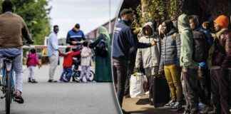 news-14102024-020631