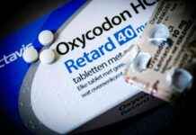 De opkomst van chronische pijn: miljoenen Nederlanders getroffen news-16102024-090115