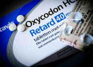 De opkomst van chronische pijn: miljoenen Nederlanders getroffen news-16102024-090115