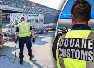 Schipholmedewerkers geronseld door criminelen: stijgende meldingen news-19102024-221955